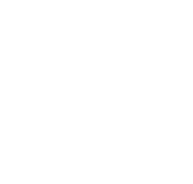 Israel Defense Forces