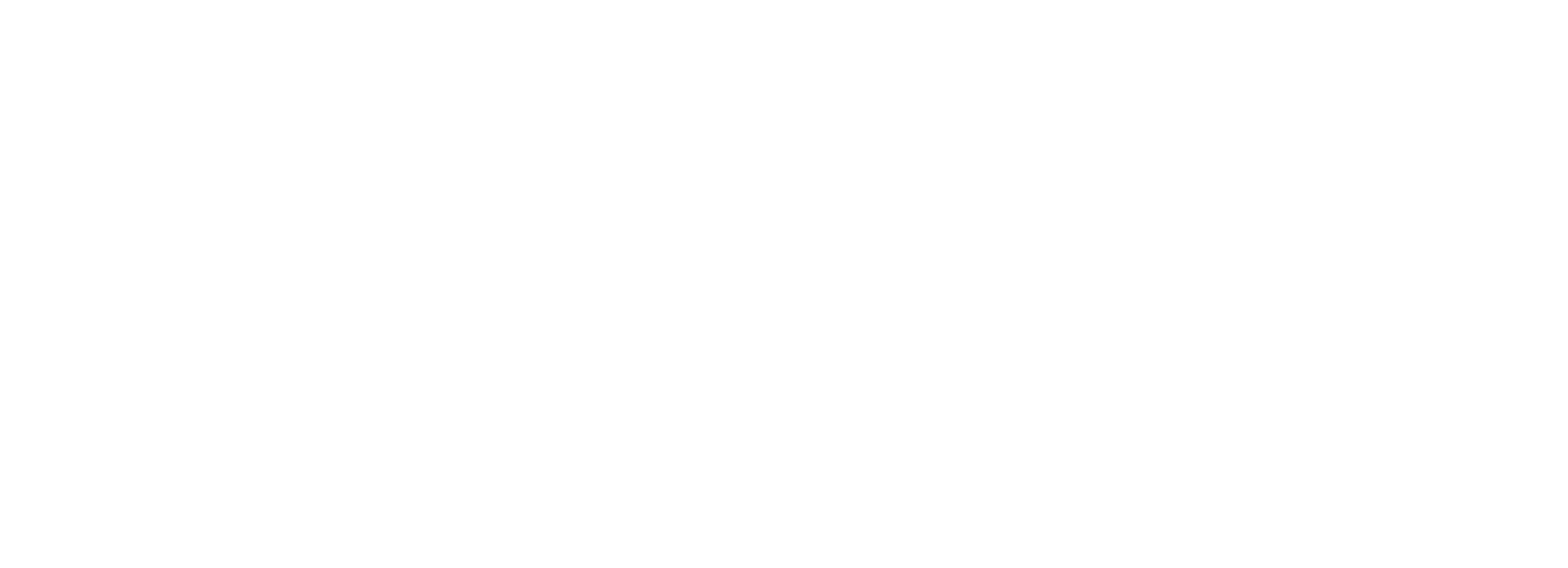 Elbit Systems